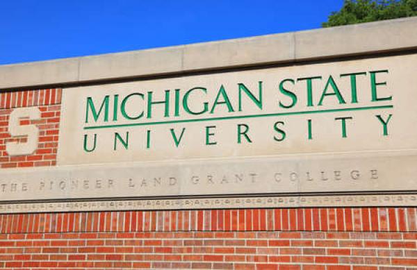 A stone sign for Michigan State University