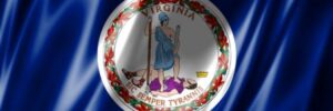 Virginia State Flag