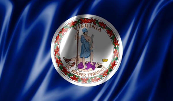 Virginia State Flag